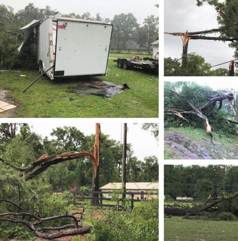 Storm Leaves Behind Path Of Destruction As It Slices Through Marion ...