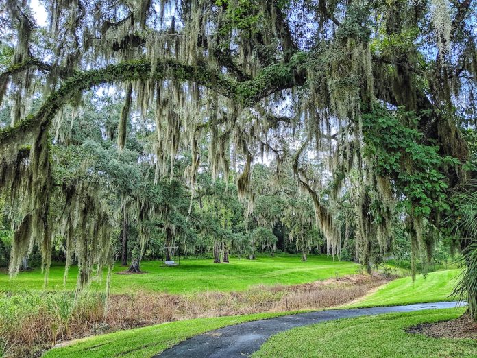 Beautiful oaks line the scenic views at Chazal Park - Ocala-News.com