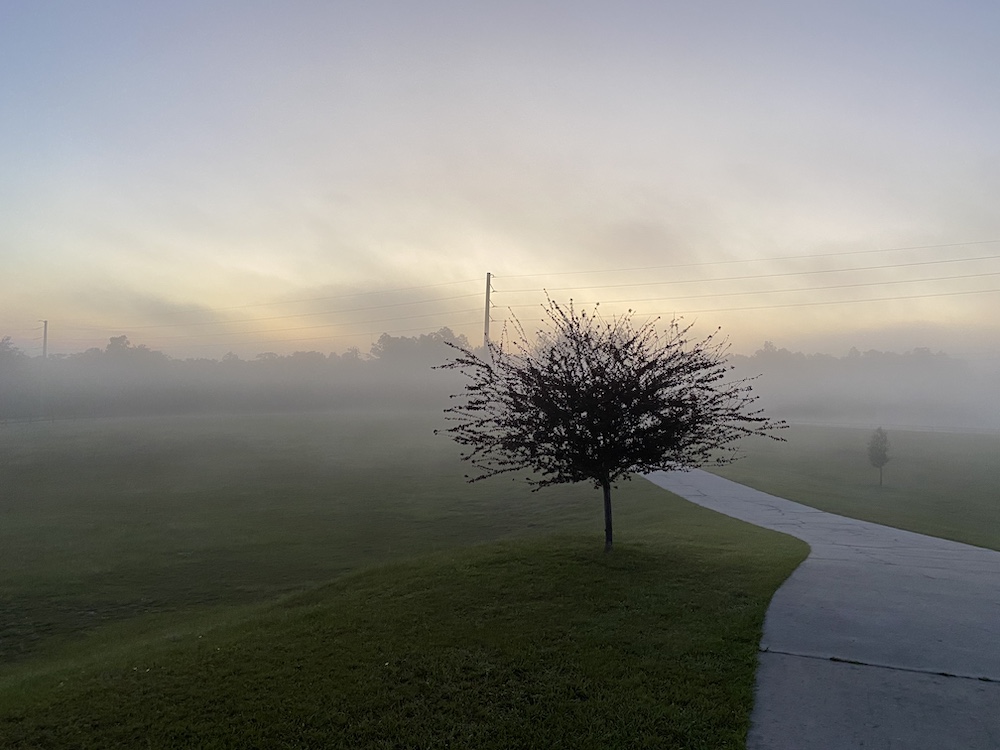 Beautiful Morning Haze In Dunnellon Ocala News Com