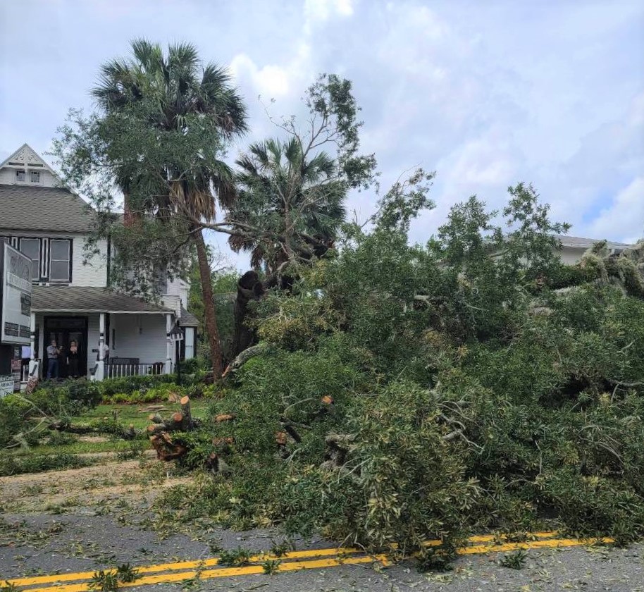 Massive tree blocks lanes on State Road 40 as limbs cover portion of ...