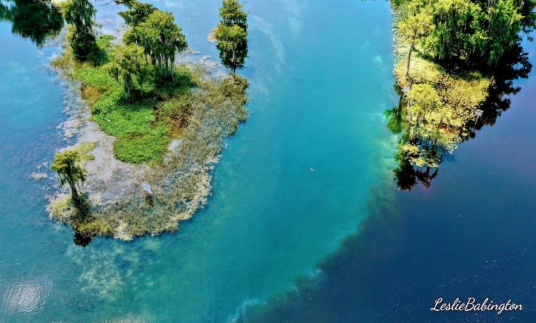 Withlacoochee And Rainbow Springs Rivers Meet