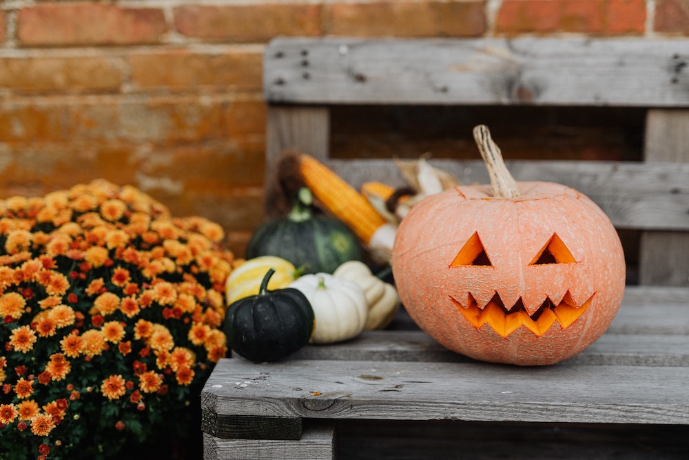 Halloween (Photo by Karolina Grabowska from Pexels)