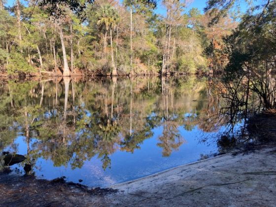 Beautiful Morning With Clear Skies At Withlacoochee State Forest ...