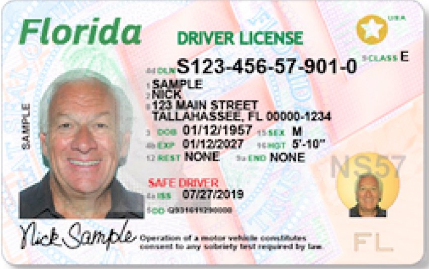 driver license check fl