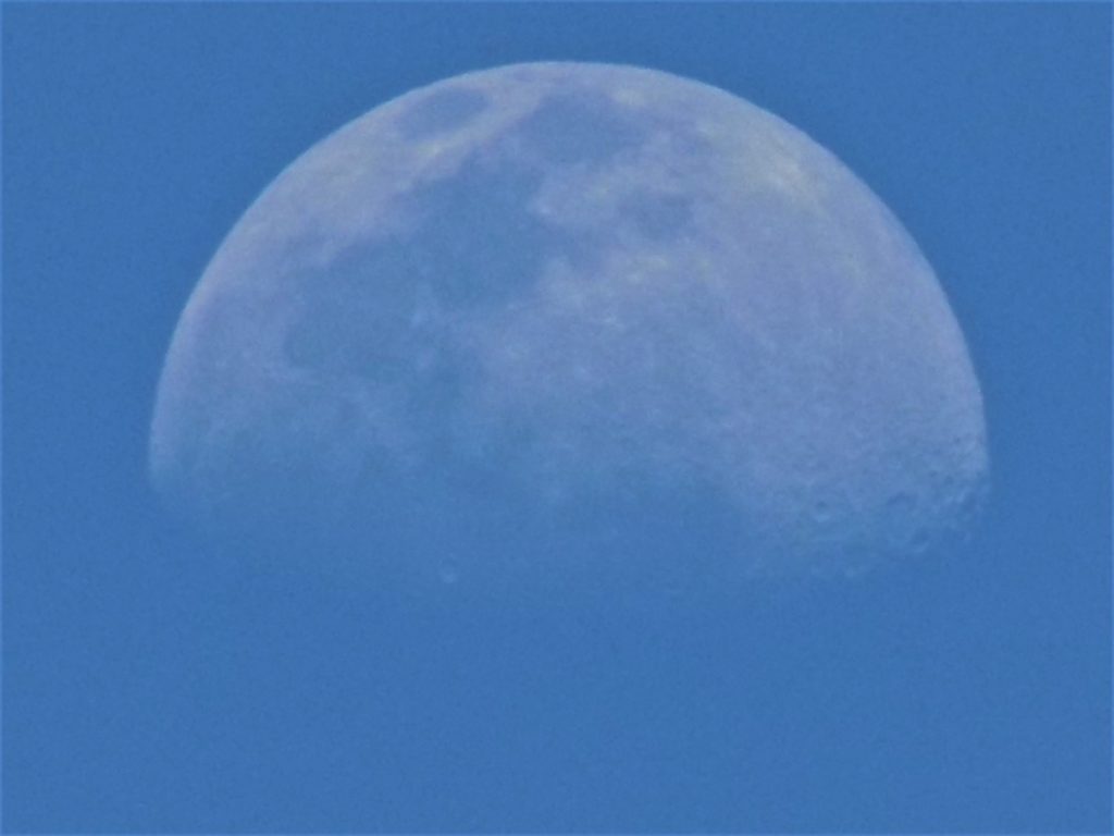 afternoon-moon-over-marion-oaks-ocala-news