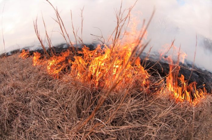 Residents evacuated as Marion firefighters battle 100-acre vegetation ...