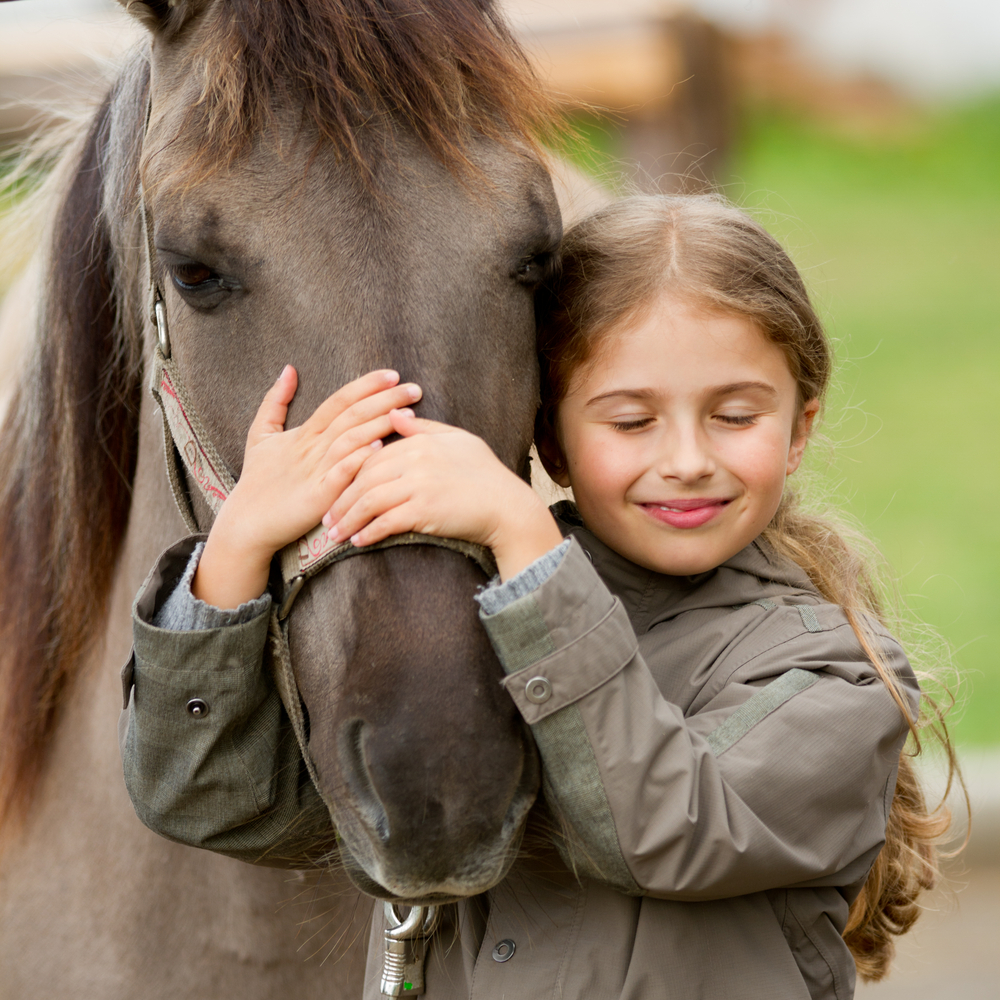 Girl hugging horse