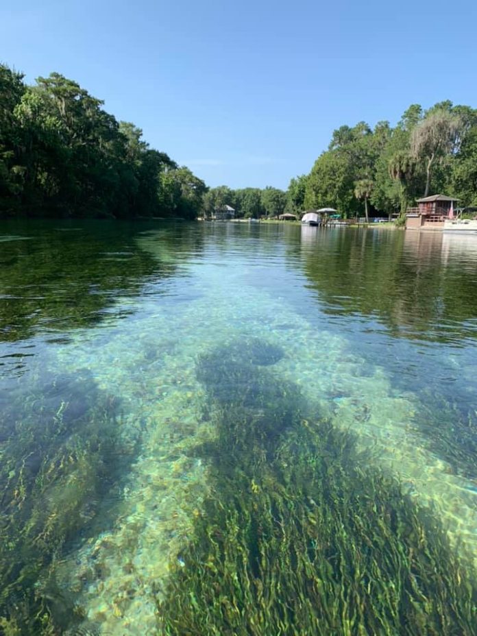 Summertime-Tubing-In-Dunnellon-696x928.j