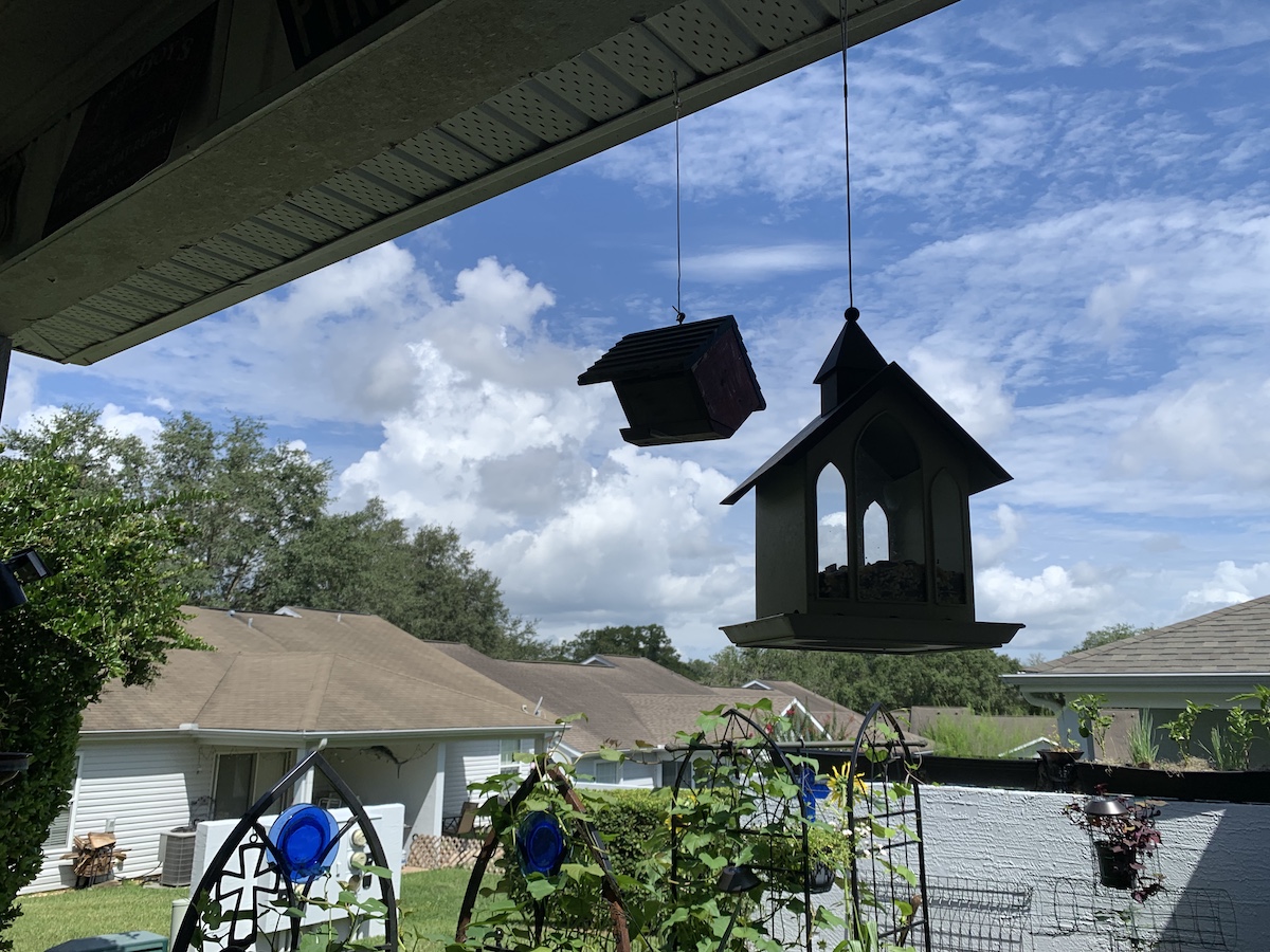 Bird Feeder At Woodland Villages In Ocala