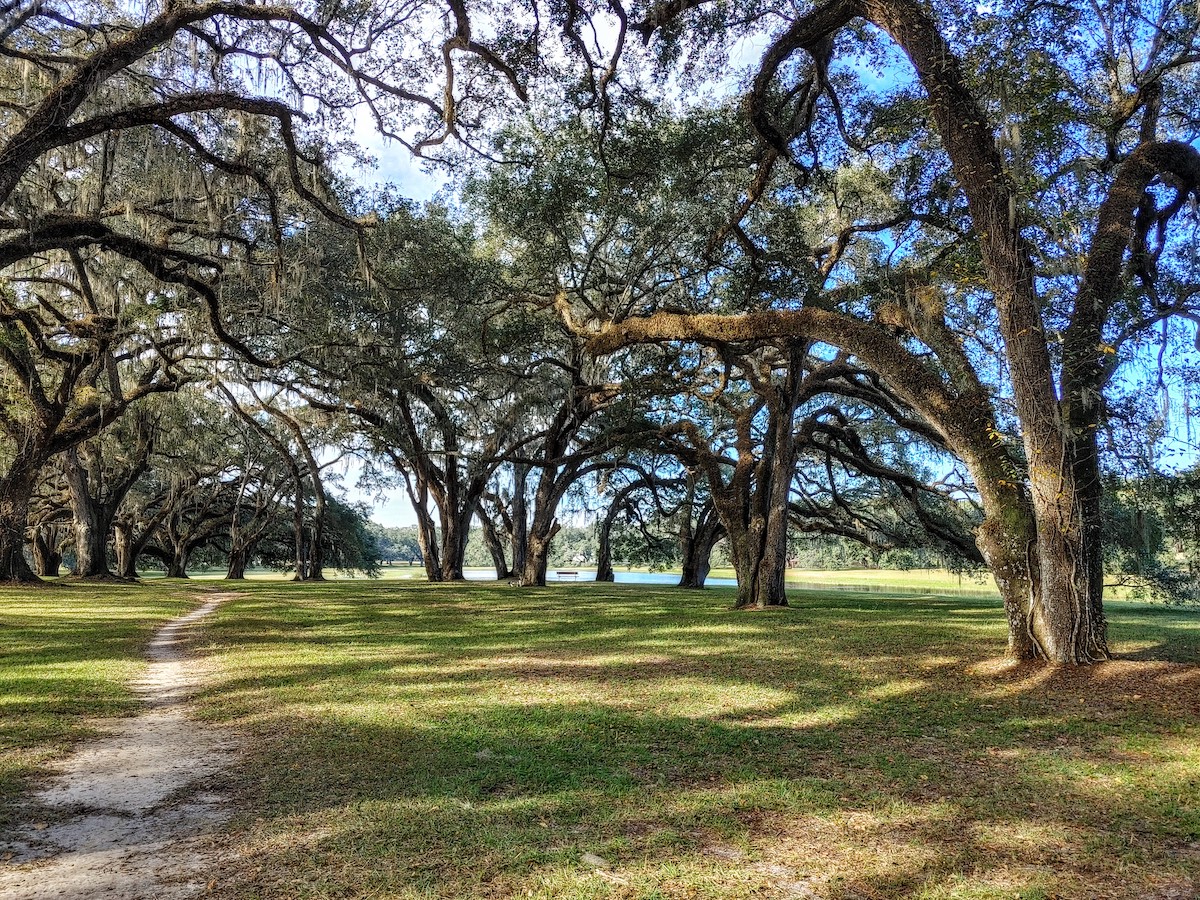 Mossy Oaks Of Marion County