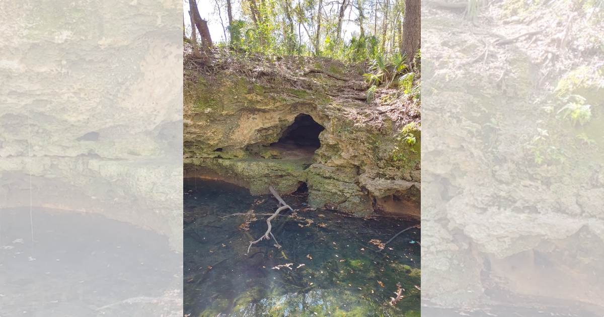 Ocala Park Rangers hosting animal tracking class at Scott Springs Park