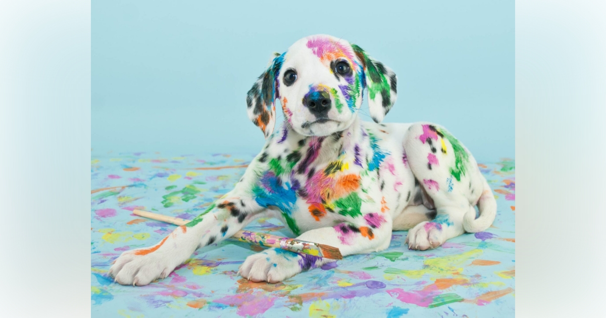 Paint event for dogs coming to Tuscawilla Art Park in March 1