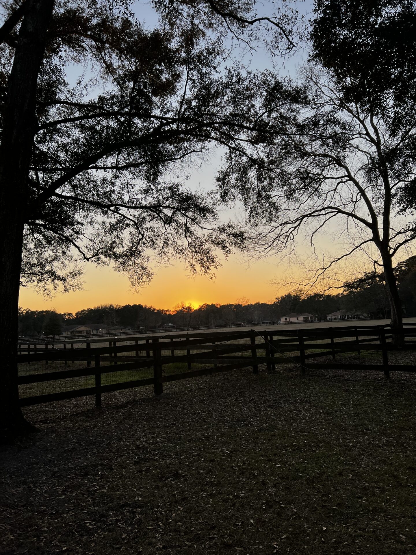 Sunset Over Gold Coast Farm