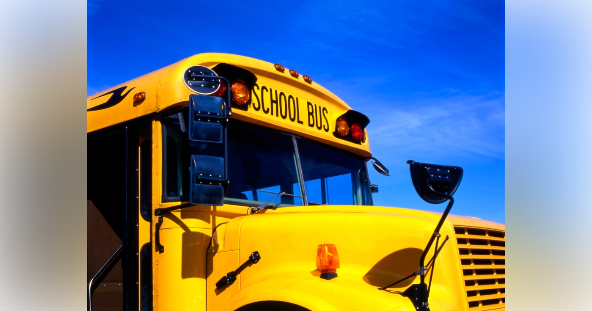 No injuries reported after school bus backs into van on NW 80th Court in Levy County