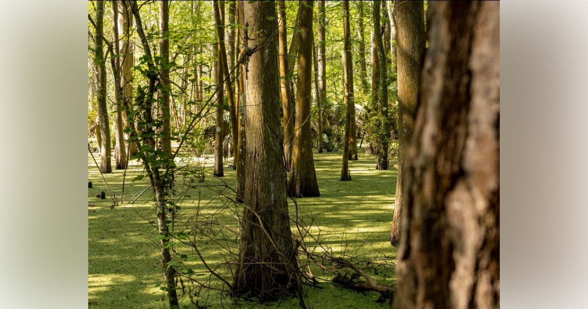 DeSantis signs bill granting 2.5 million in funding for Dunnellon Trail