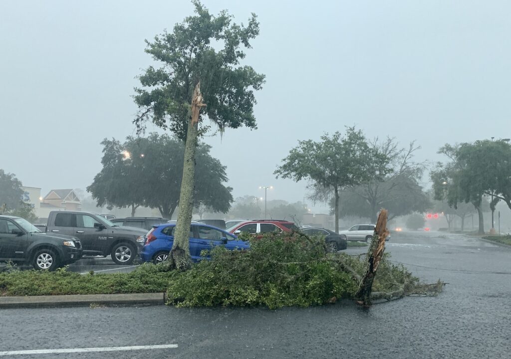 Storm Rips Down Trees Near Ross In Ocala - Ocala-News.com