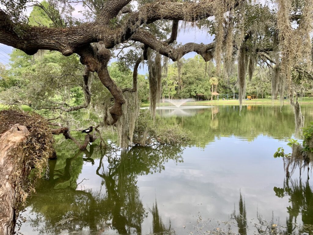 Beautiful View Of Pond At Robert F. Ritterhoff Park - Ocala-news.com