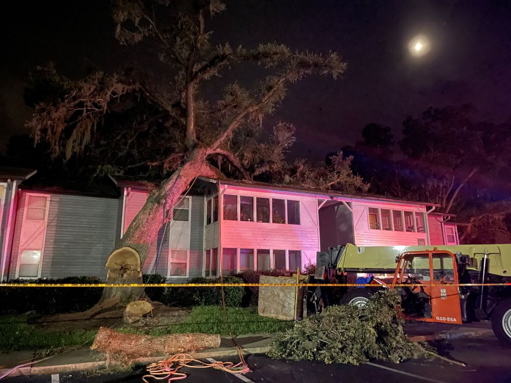 Ocala Fire Rescue tree falls on apartment building 9 3 22 another photo of tree