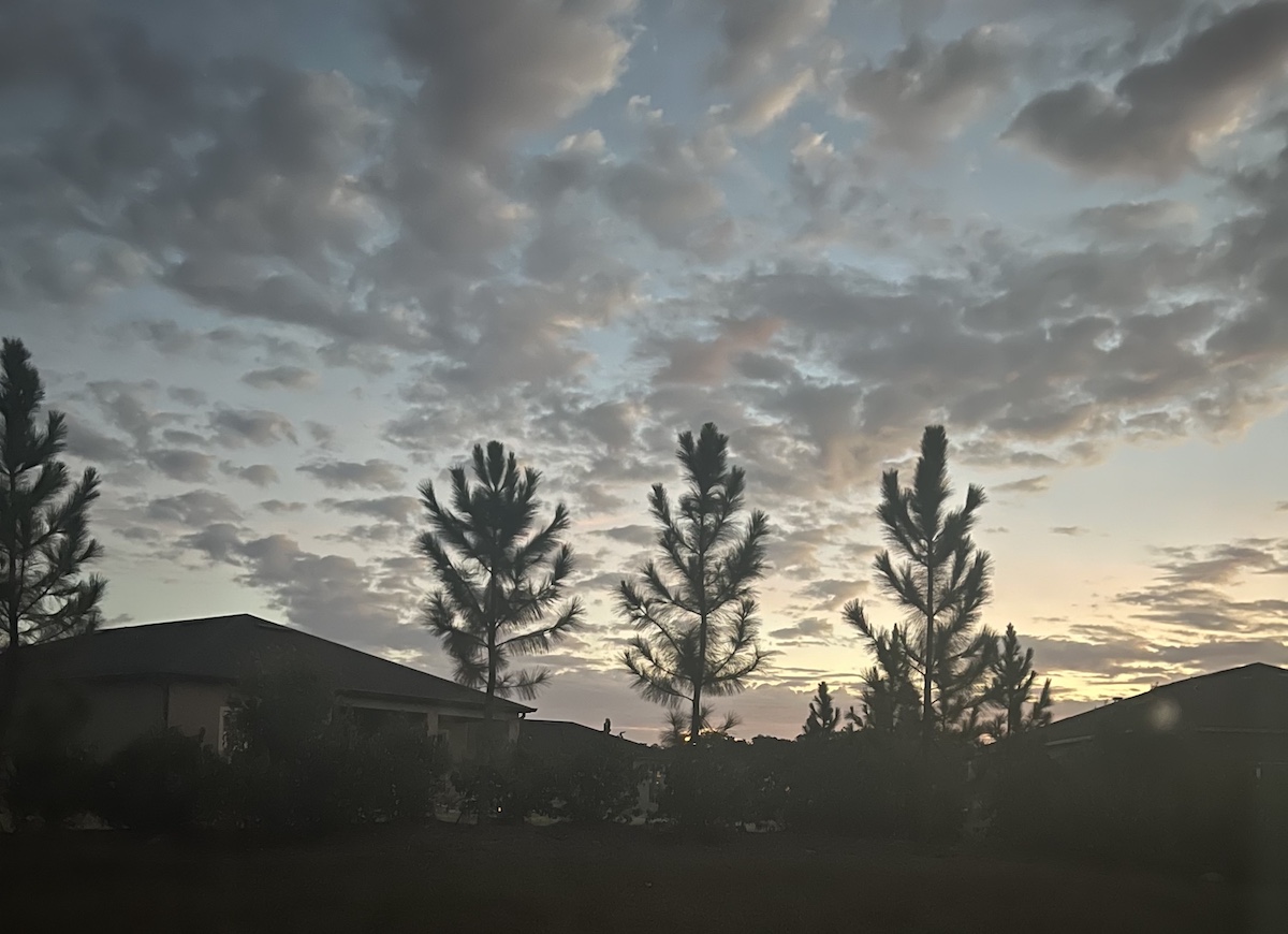 Fall Sky Over Stone Creek In Ocala