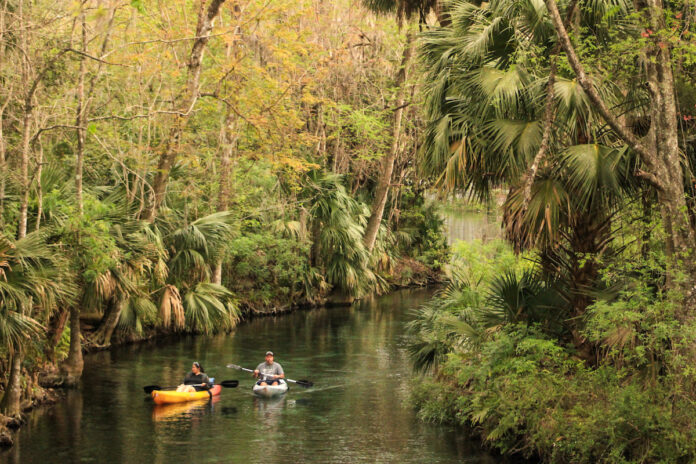 Kayaking down the river at Silver Springs State Park - Ocala-News.com