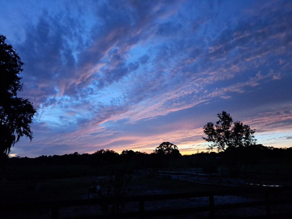 Beautiful sunset over Candow Farm in northwest Ocala - Ocala-News.com