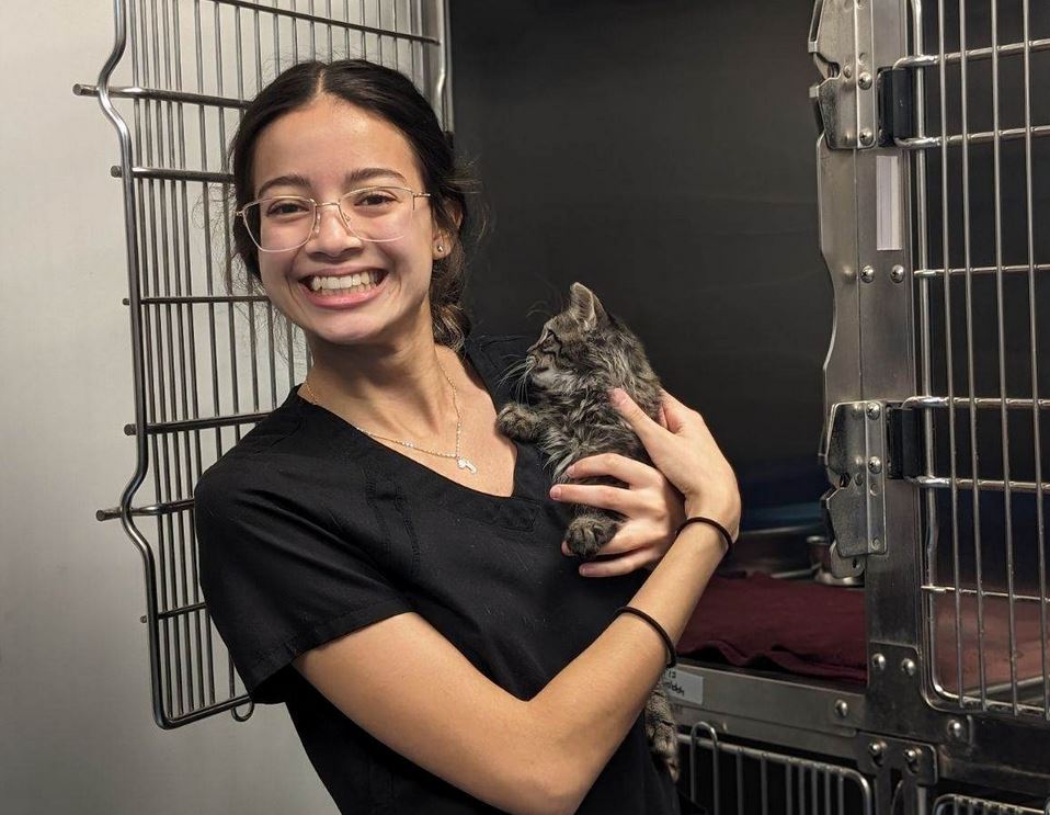 Humane Society of Marion County kitten struck by car photo of kitten a month later with good samaritan who saved him (cropped for feature image)