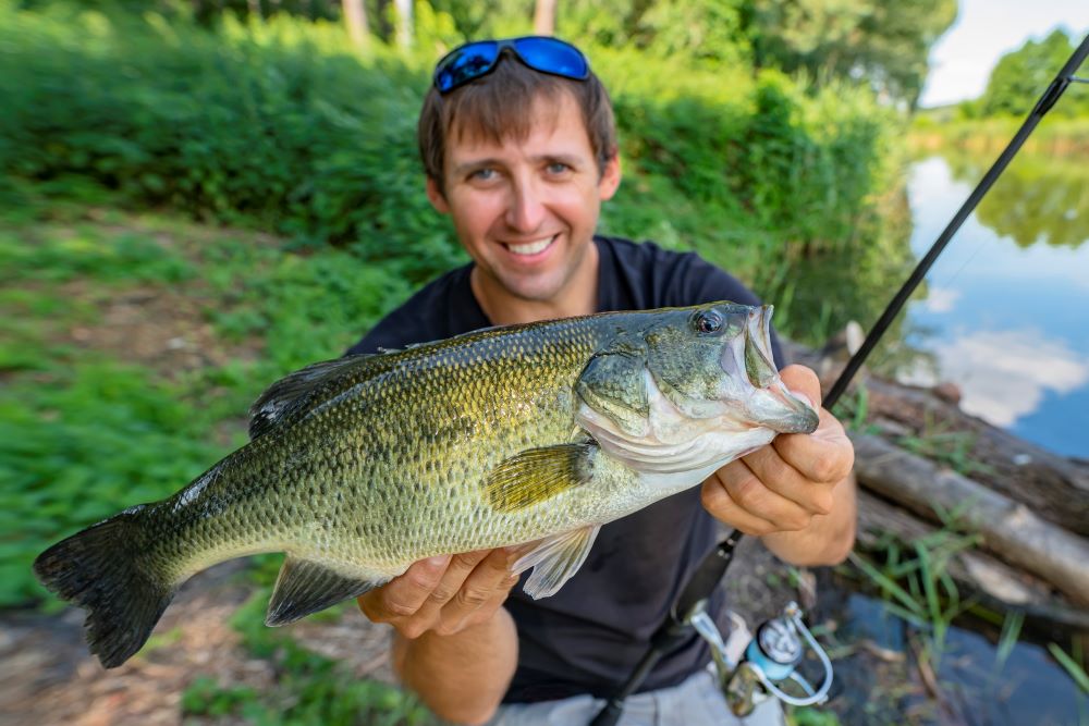 Fisherman holding bass (stock image)