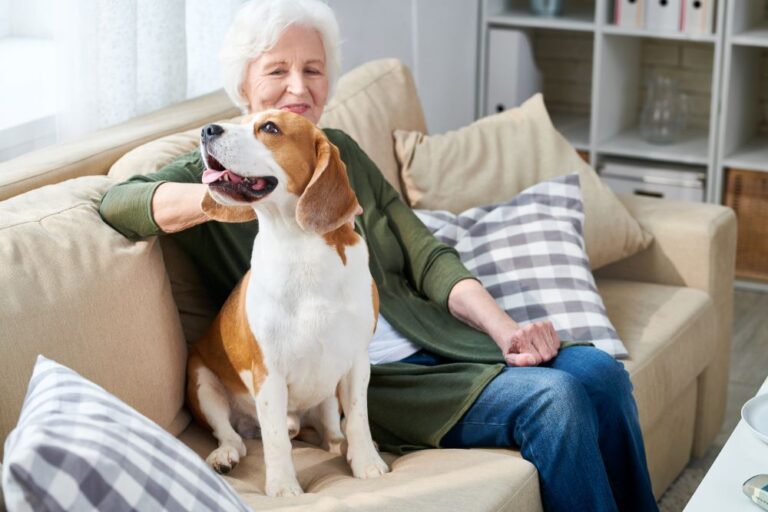 Elderly woman with dog (stock image)