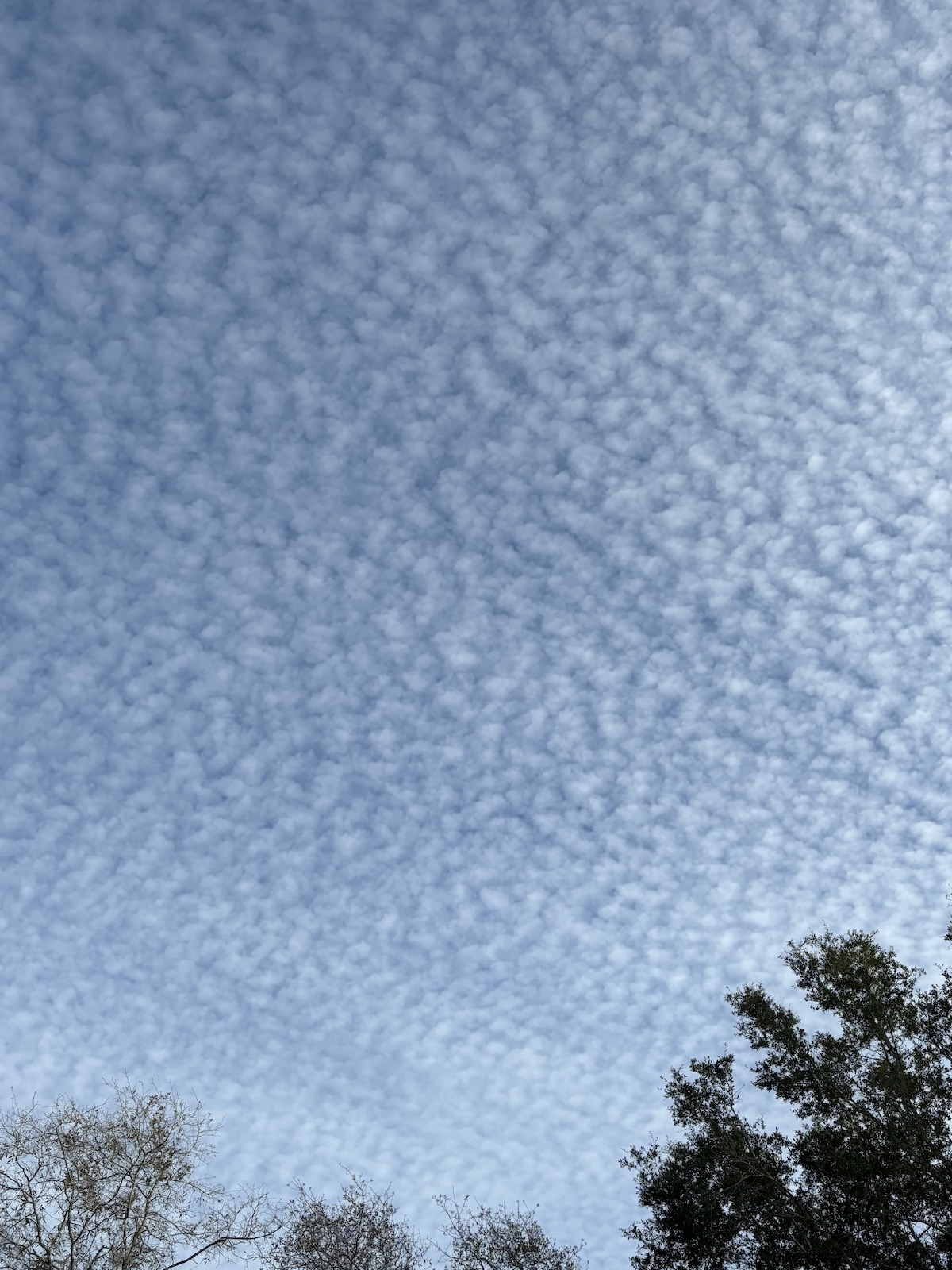 Bubble sky over Dunnellon