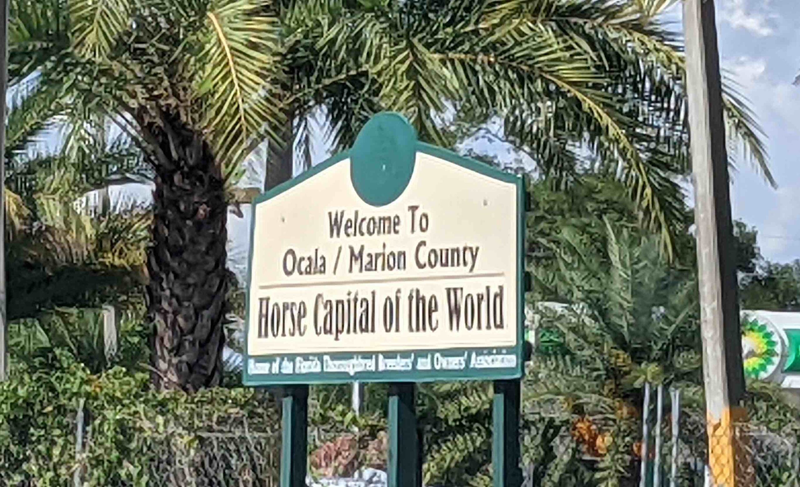 Ocala:Marion County Horse Capital of the World