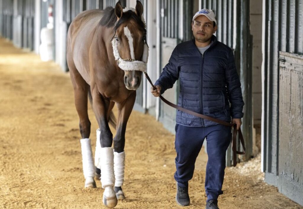 Mystik Dan arrives at Pimlico Race Course with trainer Ray Bryner.