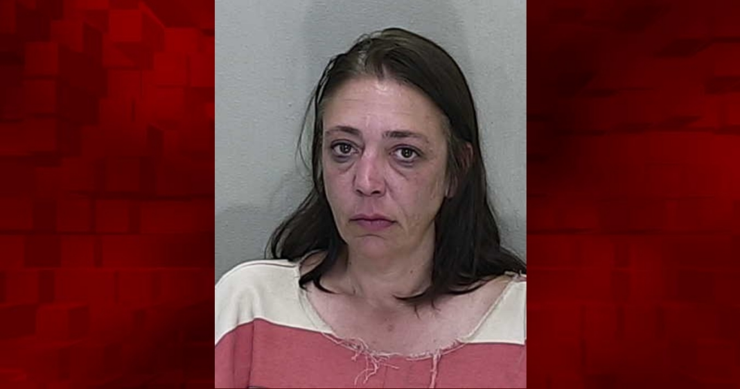 Woman arraigned on DUI manslaughter charges stemming from Ocala ...