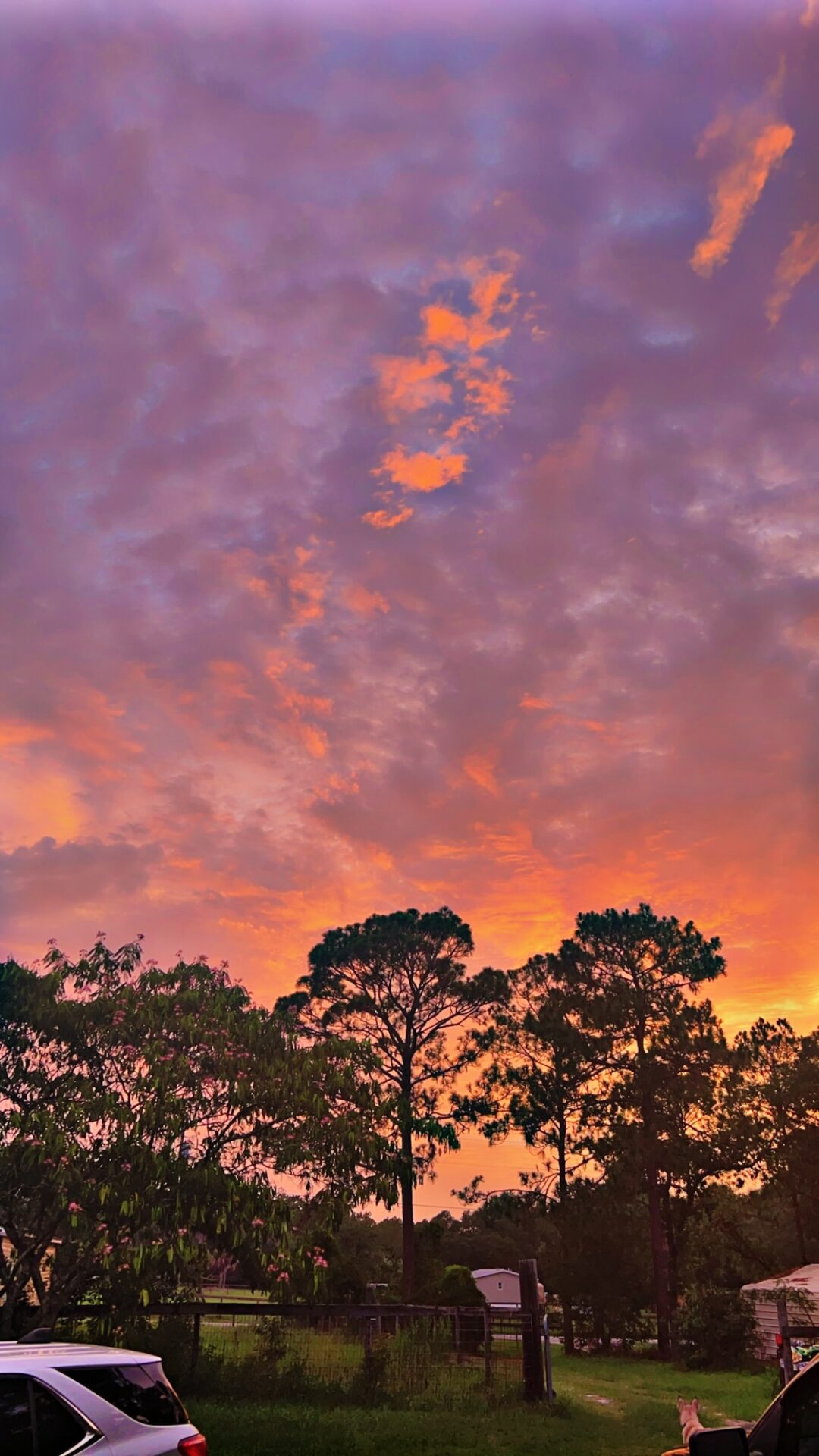 Gorgeous sunset in sky over Dunnellon