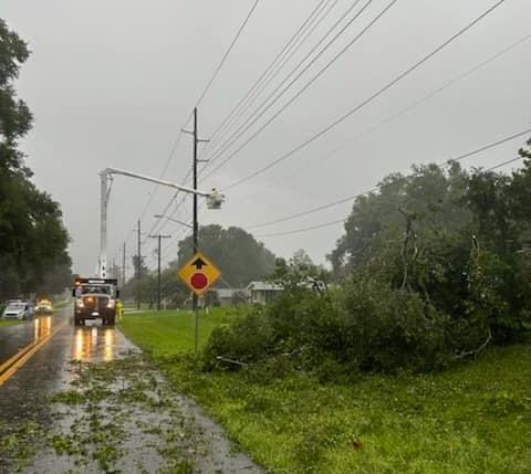 A tree on the power lines along SW 5th Street in Ocala. (Photo: Ocala Electric Utility)