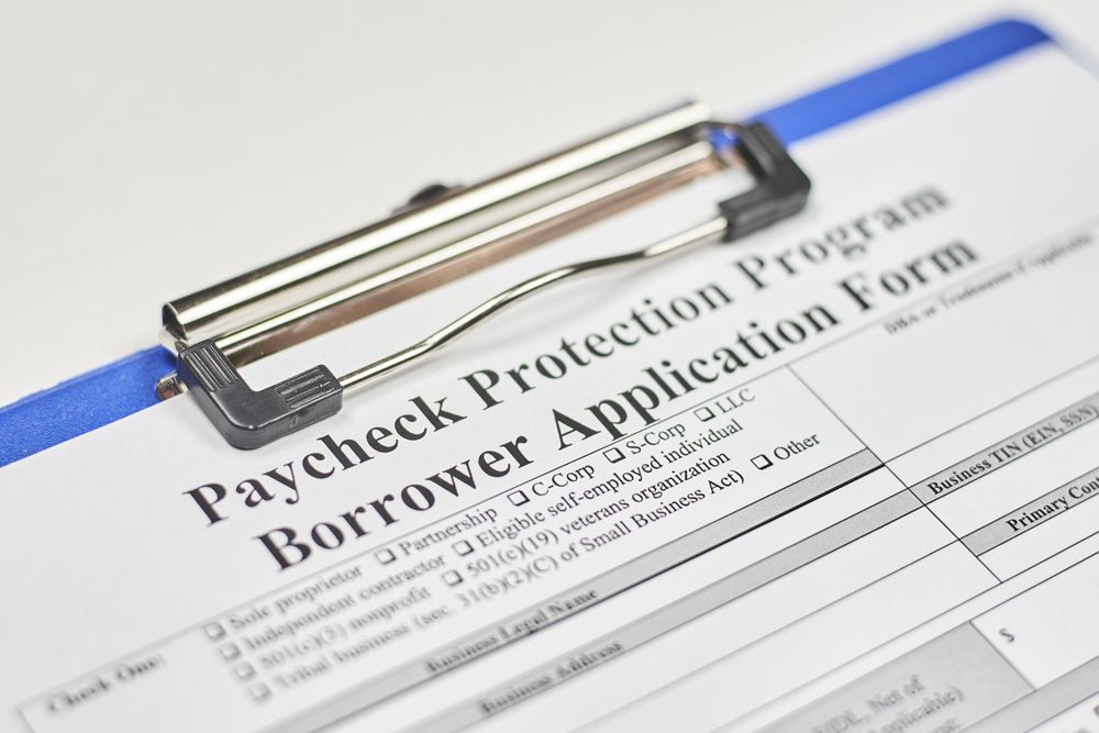 Paycheck Protection Program Borrower Application Form