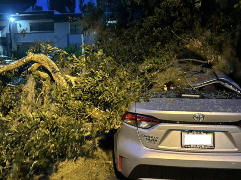 Photos show damage caused by Hurricane Helene in Ocala