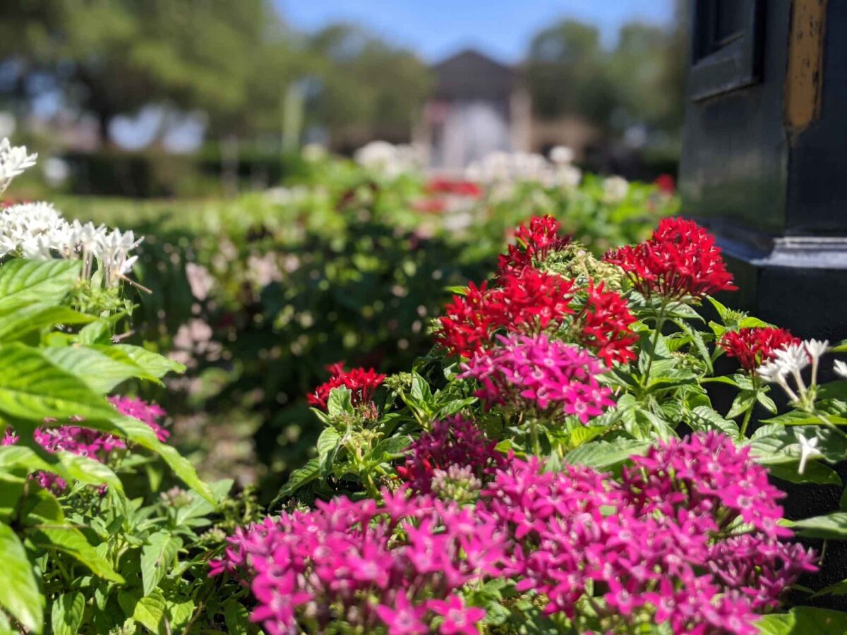 New home garden, farm center coming to 9-acre site in Ocala