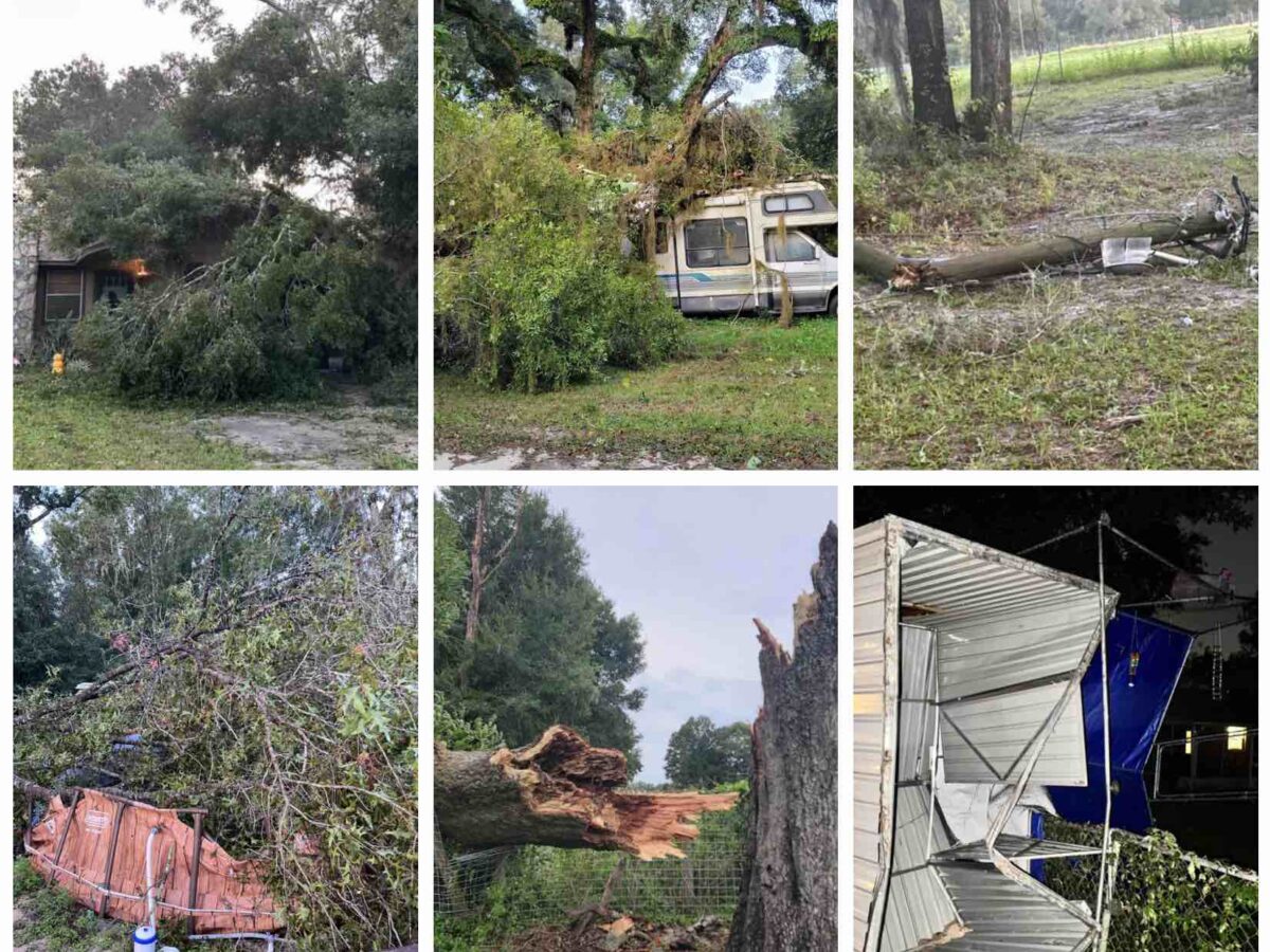 Ocala residents share more photos of hurricane damage, trees on roadways, homes, cars