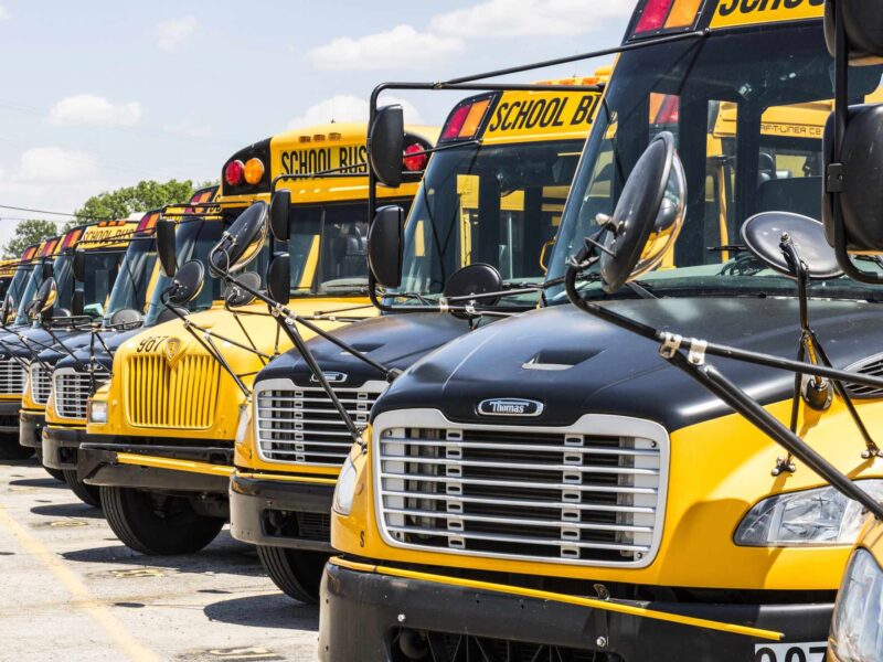 School buses lined up in a row