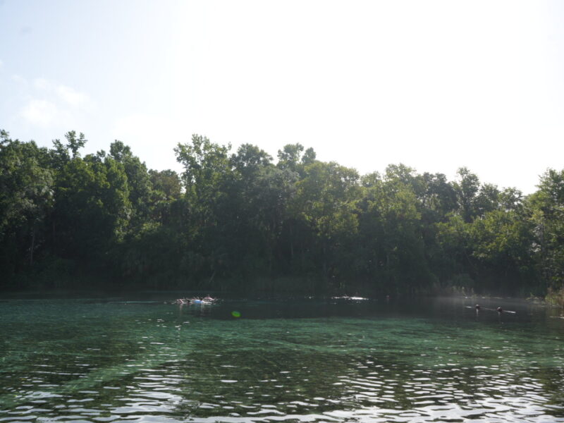 Alexander Springs in the Ocala National Forest