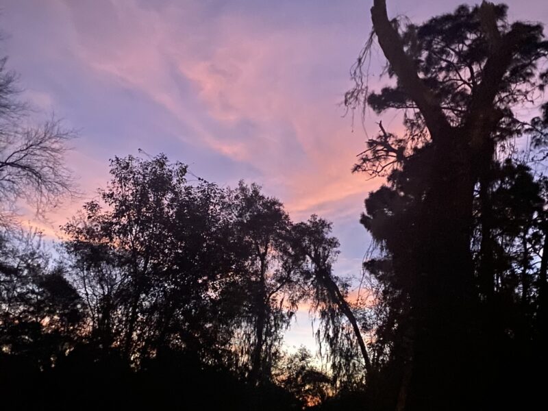 Beautiful sunset over the Ocala National Forest