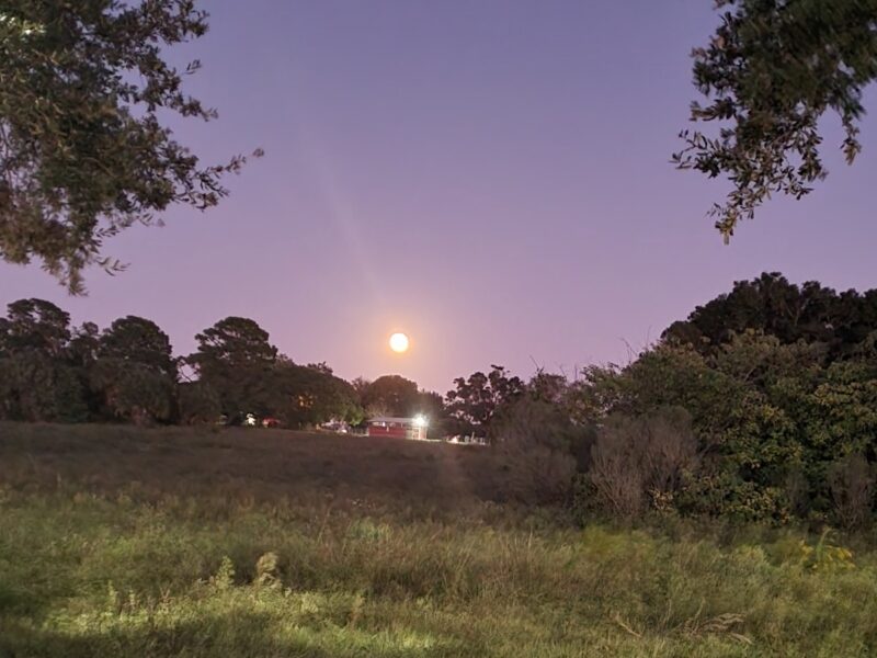 Full harvest moon over NW Ocala