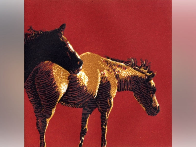 Horse-themed-art-exhibit-on-display-at-Webber-Gallery-800x600.png