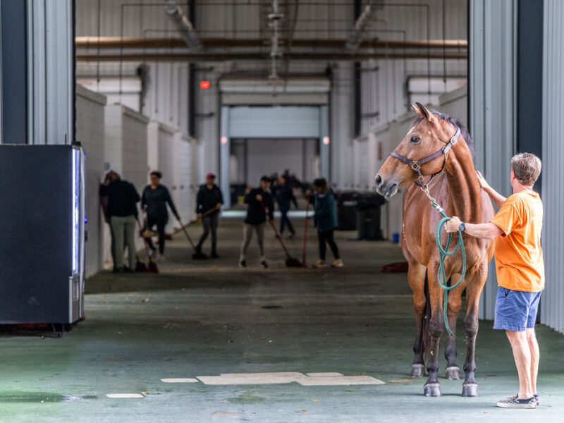 2,400 horses sheltered at Ocala venue during Hurricane Milton