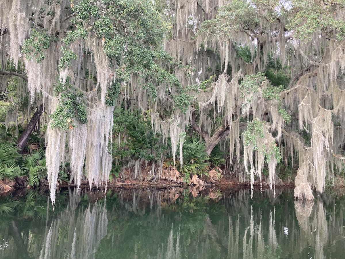 Mossy oaks on private lake in Coronado Pines