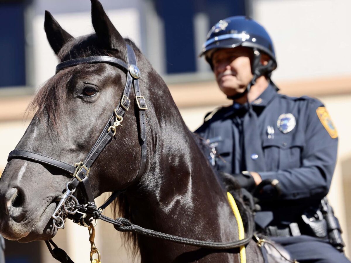 Horse officers return to Ocala  as city reestablishes Mounted Patrol Unit