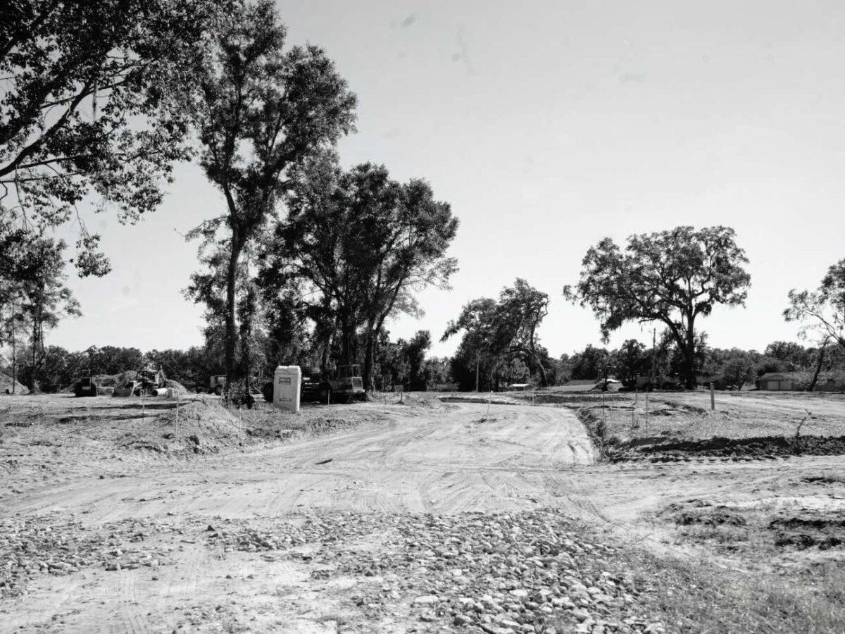 Ocala’s trees and wildlife are disappearing