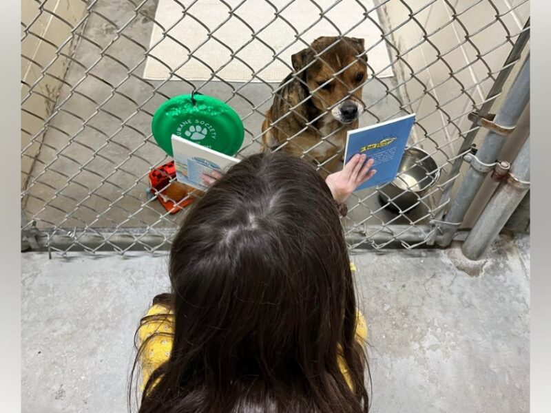 Children invited to read with shelter dogs