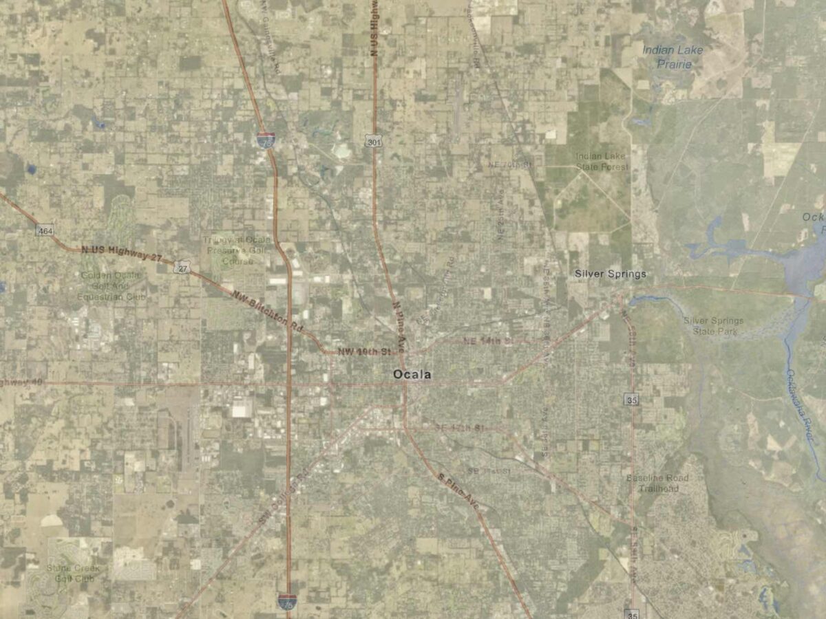 The unnecessary deforestation of Ocala in the name of ‘progress’