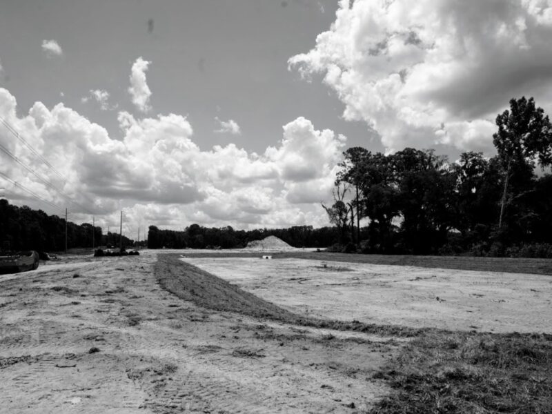 They are stripping the land that was Ocala